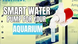 DCS Series 24v DC ECO Amphibious Smart Wave Water Pumps