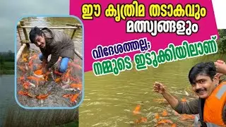Pottas farm world ,കൃത്രിമ തടാകത്തിൽ മീനുകളുമായി തത്തികളിച്ച് യാത്ര ,കേരളത്തിൽ ആദ്യം