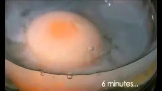 Pregnant? See how alcohol affects an egg