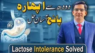 Stop Milk Bloating Forever! 5 Scientifically Proven Tips for Lactose Intolerance
