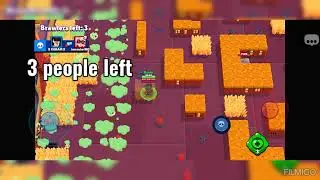 rank 20 with Bibi