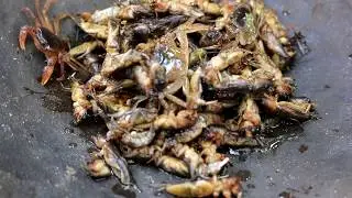 Survival skills: Find insects in the ground & fried for food - Cooking insects eating delicious #9