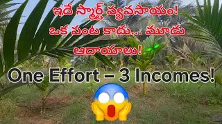 3 Tier Crop System Explained | Grow 3 Crops in Same Land #agriculture #farming 