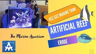4ft Marine Tank in Erode | Stunning Artificial Reef Setup by THE MARINE AQUARIUM KALIF