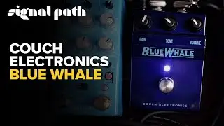 Indie Overdrive Tones + Bluesbreaker Dreams | Couch Electronics Blue Whale