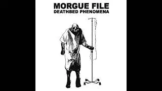 Morgue File - Phenomena I