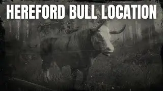 RDR2 Hereford Bull Location | Animal Locations