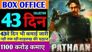 Pathan Day 43 Box Office Collection | Pathan Day 43 Advance Booking | Pathan Box Office Collection