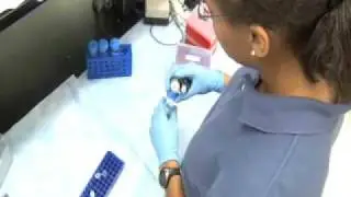 Reinvesting in basic research