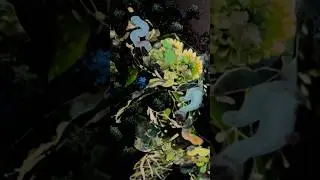 Teaching myself to make abstract art. In my floral era! #abstractfloral #abstractbeauty #mixmedia