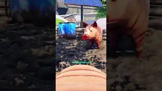 🐷 Making a VR Game - TRUE Pig Sim 2024 Reboot! #vrgaming  #devlog #shorts May 22, 2024