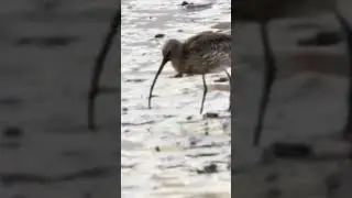 어디를 쑤셔야 나올까 ! 에라, 막 쑤셔보자 ! !