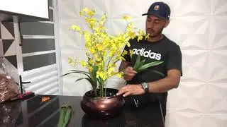 Como monta arranjo de orquídea artificiais