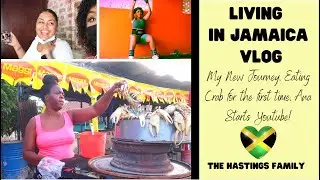 JAMAICAN STREET FOOD HEROES CIRCLE CRAB | MY NEW JOURNEY | JAMAICA VLOG