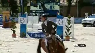 HACCO - 2014 CSI 1m40 - sold by team KOEKENHUYZE & VOSKES