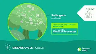 Disease Cycle | Powdery mildew on cucurbits