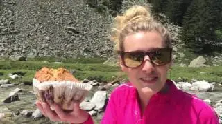 PicNic &agrave; la fruiti&egrave;re