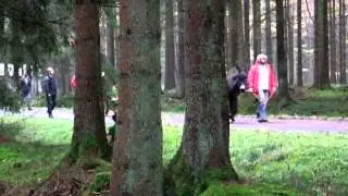 Eseltrekking in der Eifel
