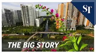 THE BIG STORY: How the new HDB rules will impact you | The Straits Times