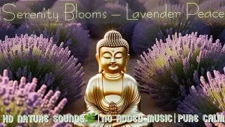 🪻 Deep Calm & Healing | 15-Minute Buddha Meditation in a Serene Lavender Field