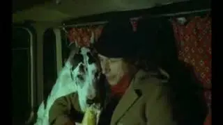 Je suis timide mais je me soigne ( la scène du chien affamé)