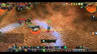 5.4 WW Monk vs Feral Druid duel