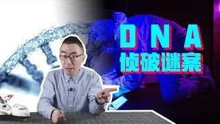DNA差异究竟有多大？用它来破尘封的迷案，背后的原理又是什么？【科学火箭叔】