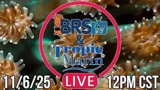 Tropic Marin & BRStv LIVE Reef Tank Q&A! 11/6/2025 12PM CST