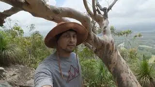 Mt Cooroora Summit Easy Hike 