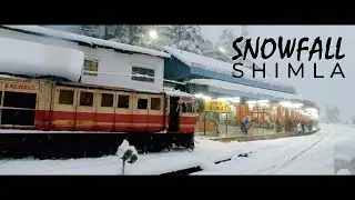 Snowfall around Shimla | lakkar Bazar | Ridge | DJI Osmo Action | Pahari Wanderer | 4K