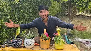 iMazing Nature  is live