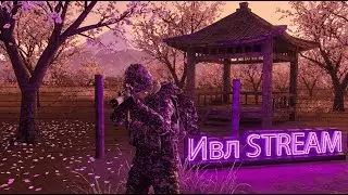Stalker online | Stay out | Сталкер онлайн - меня бросил дед