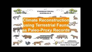 Climate Reconstruction Using Terrestrial Fauna