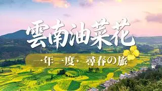 【中國 雲南】中國最美春天在此！雲南羅平油菜花 + 元陽梯田 + 東川紅土地 + 牛街螺絲田  8天深度純玩，品嘗當地美食，全程5星酒店