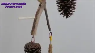 Fabriquer Maisons/Perchoirs/Jouets destructibles pour oiseaux-204-