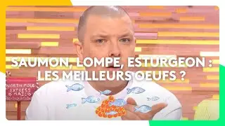 Saumon, lompe, esturgeon : les meilleurs oeufs ?