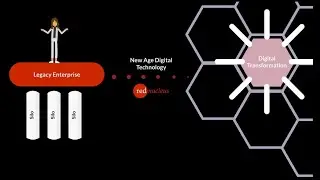 Red Nucleus System Integrations Expertise for Life Sciences