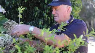 A Rich History in Donnybrook-Balingup