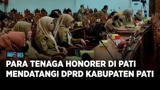 Tes ASN Gagal dan Tak Masuk Pendataan Paruh Waktu, Honorer Pati Malah Protes