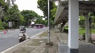 Walking in the Local Environment