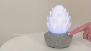 Skip Hop Terra Cry Activated Soother - Overview