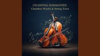 Duo for Violin & Viola, W463: III. Allegro agitato