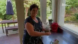 How to stop food getting into your Kai Carrier seal