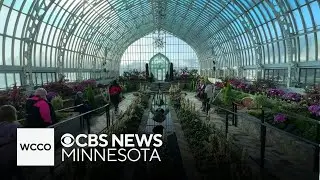 Nature lovers find respite from cold at St. Paul conservatory