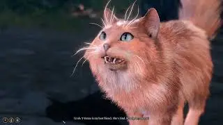 Yenna Rivington cat Grub came to my camp Cutscene BG3