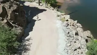Big Horn Sheep