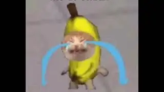 Crying Banana Cat 1 Hour