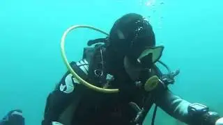 :.:.: Fantastic dive in Puolo :.:.: