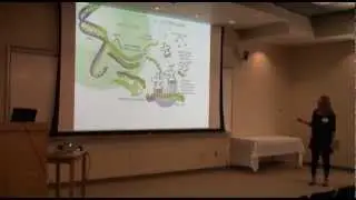 Neta Zuckerman - Biology for Engineers: Part 2