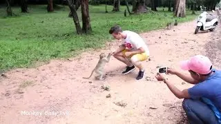 OMG!! monkey meeting boy - monkey group eat banana part 3